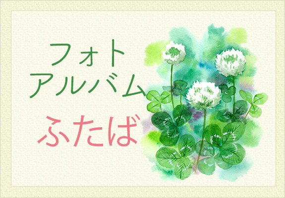 アルバムはこちら